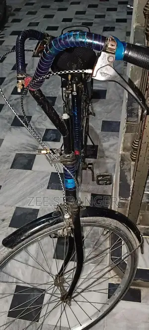 Japani Cycle Bicycle in Good Condition