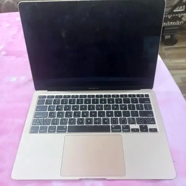 2020 MacBook Air Rose Gold with Screen Issue