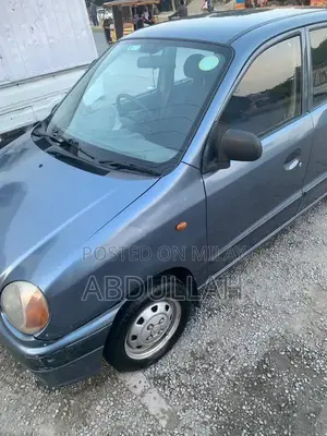 Photo - Hyundai Santro 2009 CNG Petrol Hatchback