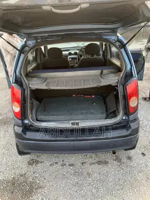 Hyundai Santro 2009 CNG Petrol Hatchback