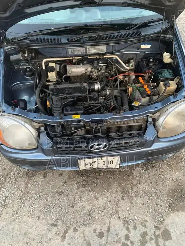 Hyundai Santro 2009 CNG Petrol Hatchback