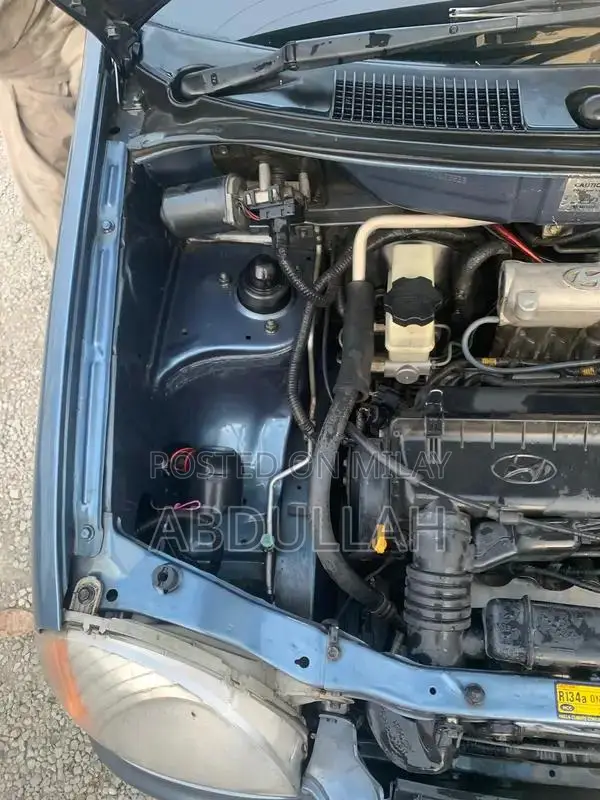 Hyundai Santro 2009 CNG Petrol Hatchback