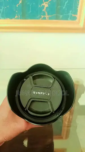 Photo - Canon EF 24-105mm f/4L IS STM Lens