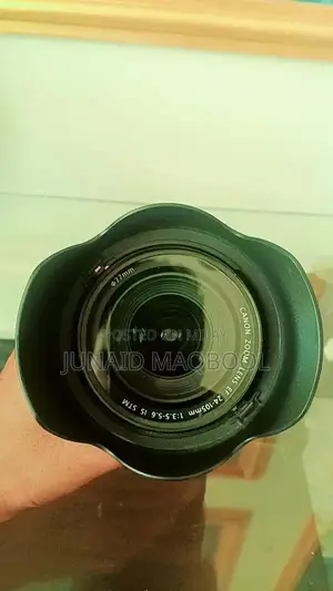 Canon EF 24-105mm f/4L IS STM Lens