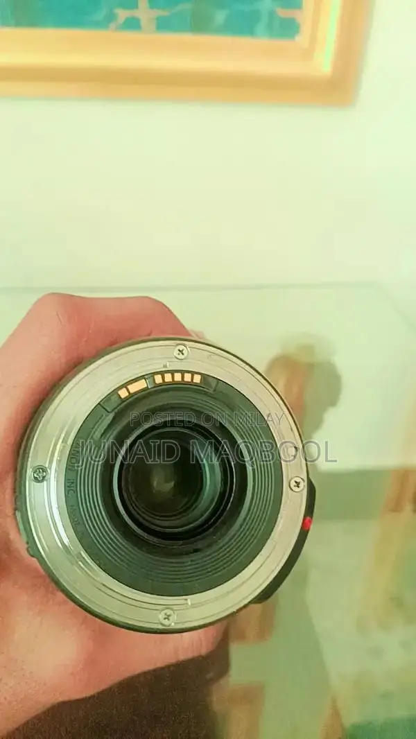 Canon EF 24-105mm f/4L IS STM Lens