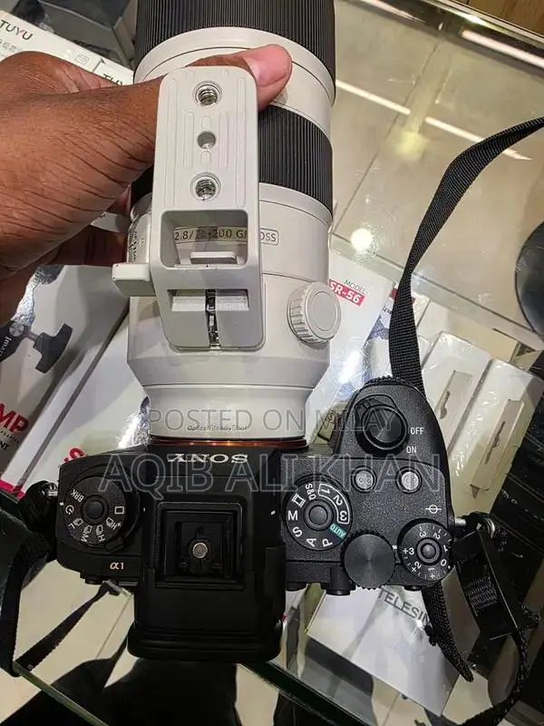 Sony 70-200mm f/2.8 GM Professional Telephoto Zoom Lens