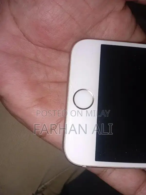 Apple iPhone 6s 64GB Smartphone with Functional Features