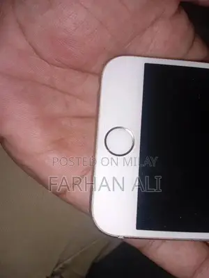 Apple iPhone 6s 64GB Smartphone with Functional Features