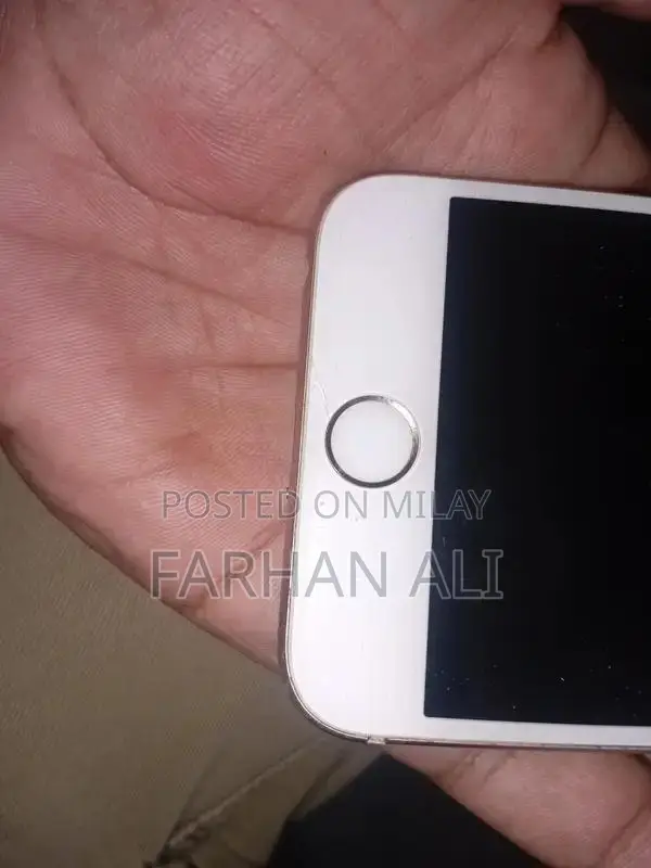 Apple iPhone 6s 64GB Smartphone with Functional Features