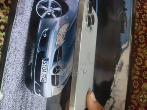 Apple iPhone 15 Pro Max 256 GB Silver