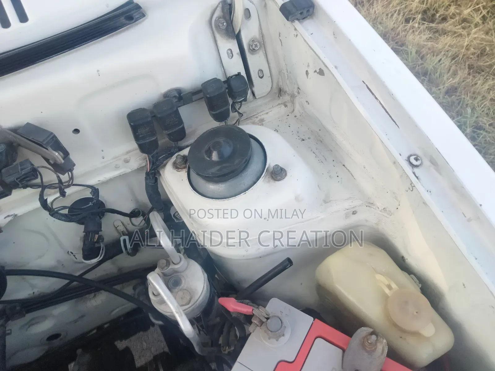 Suzuki VX 2016 White