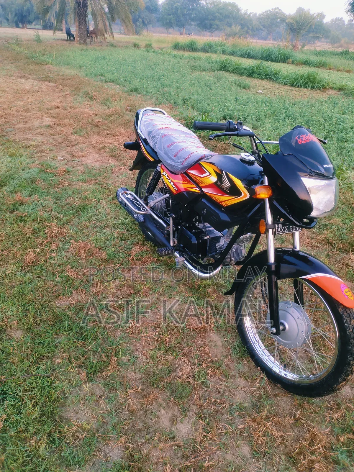 New Honda 2025 Black