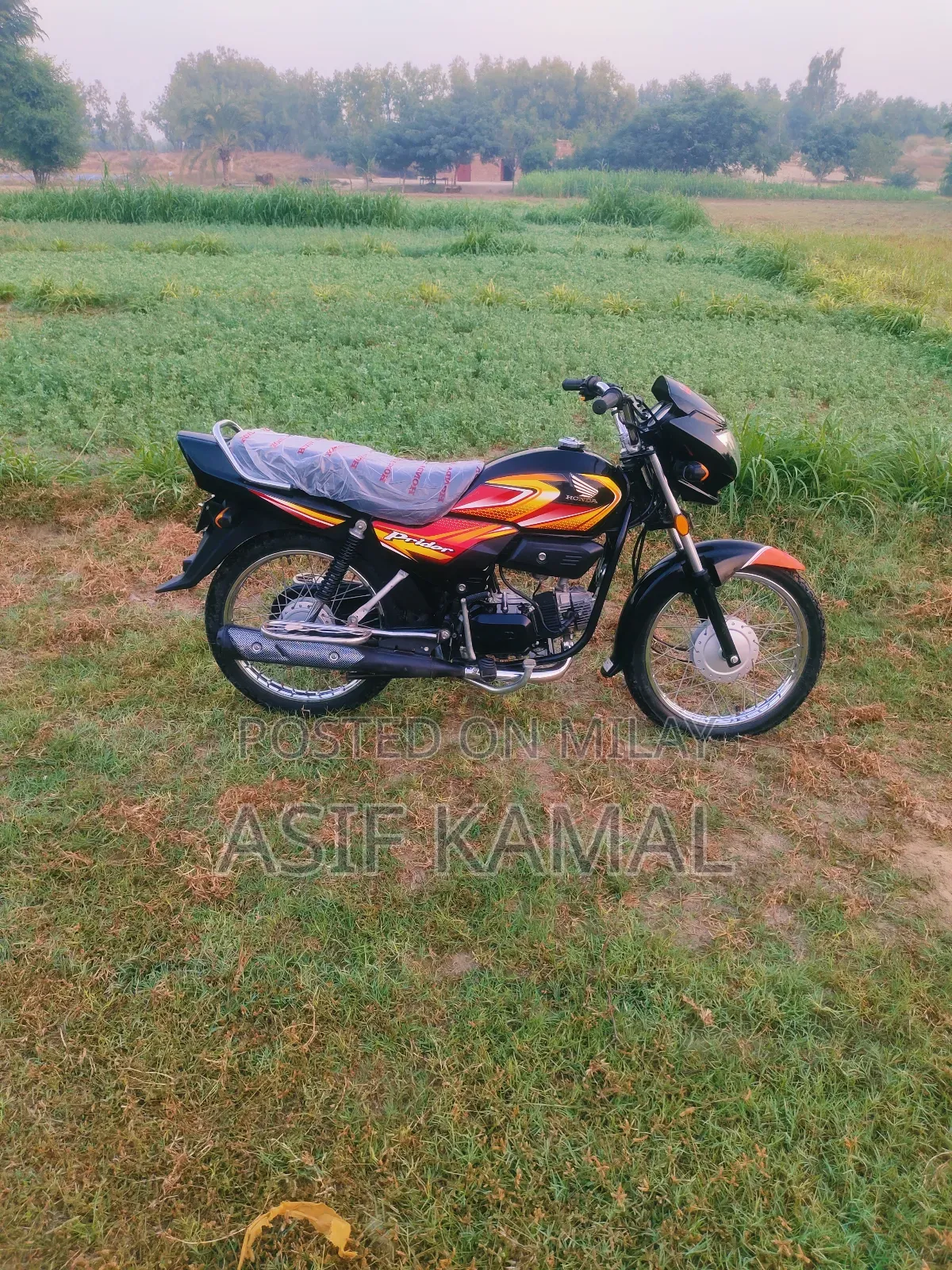 New Honda 2025 Black