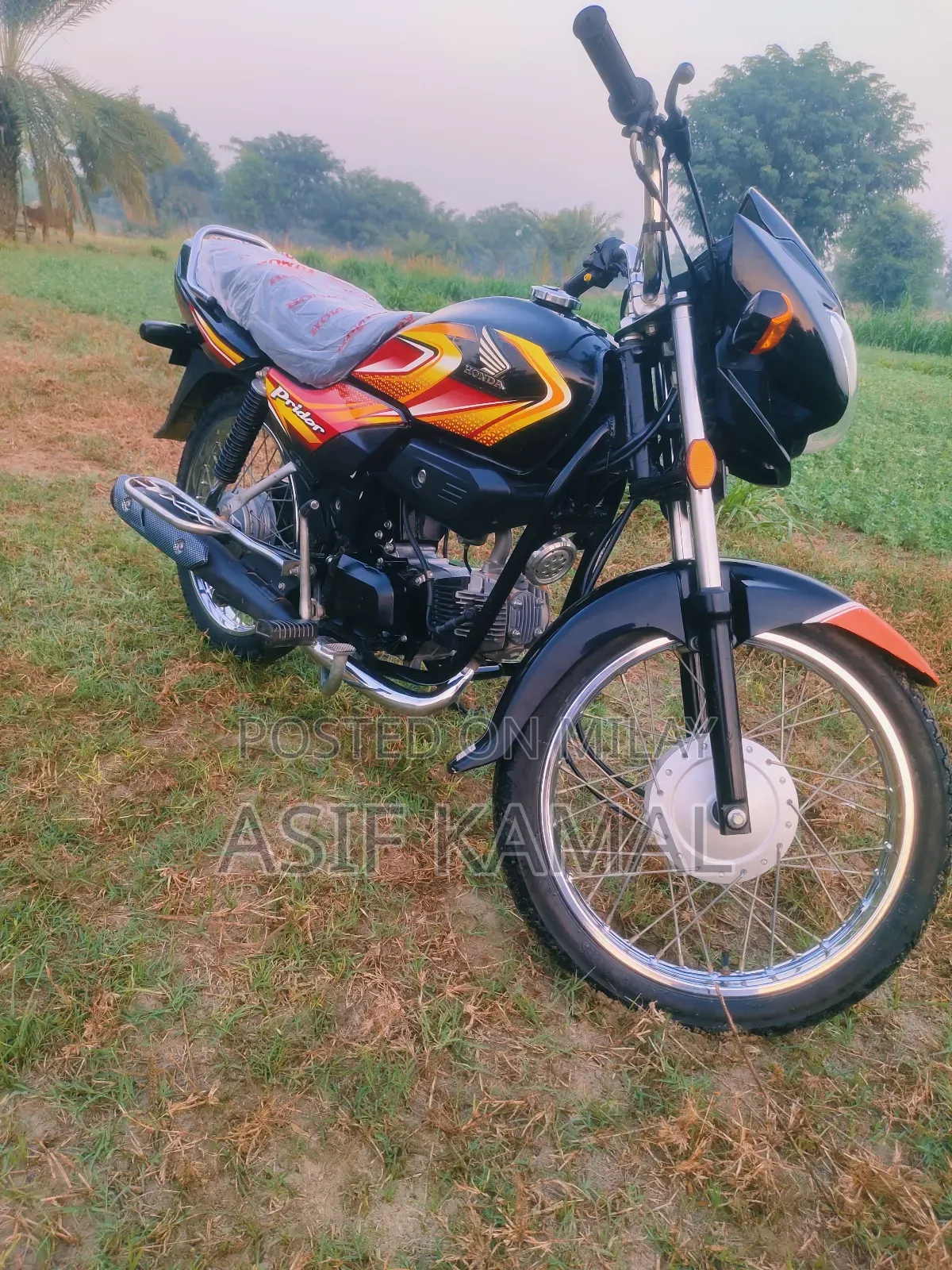 New Honda 2025 Black