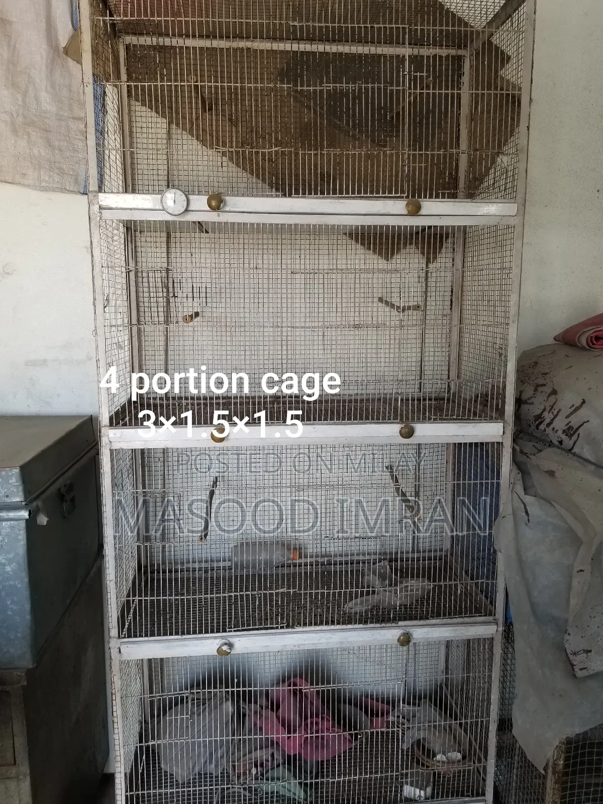 Brid Cage.