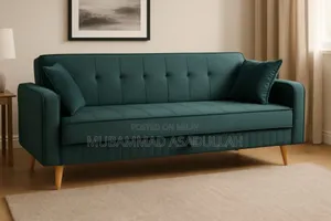 Sofa Cum Bed