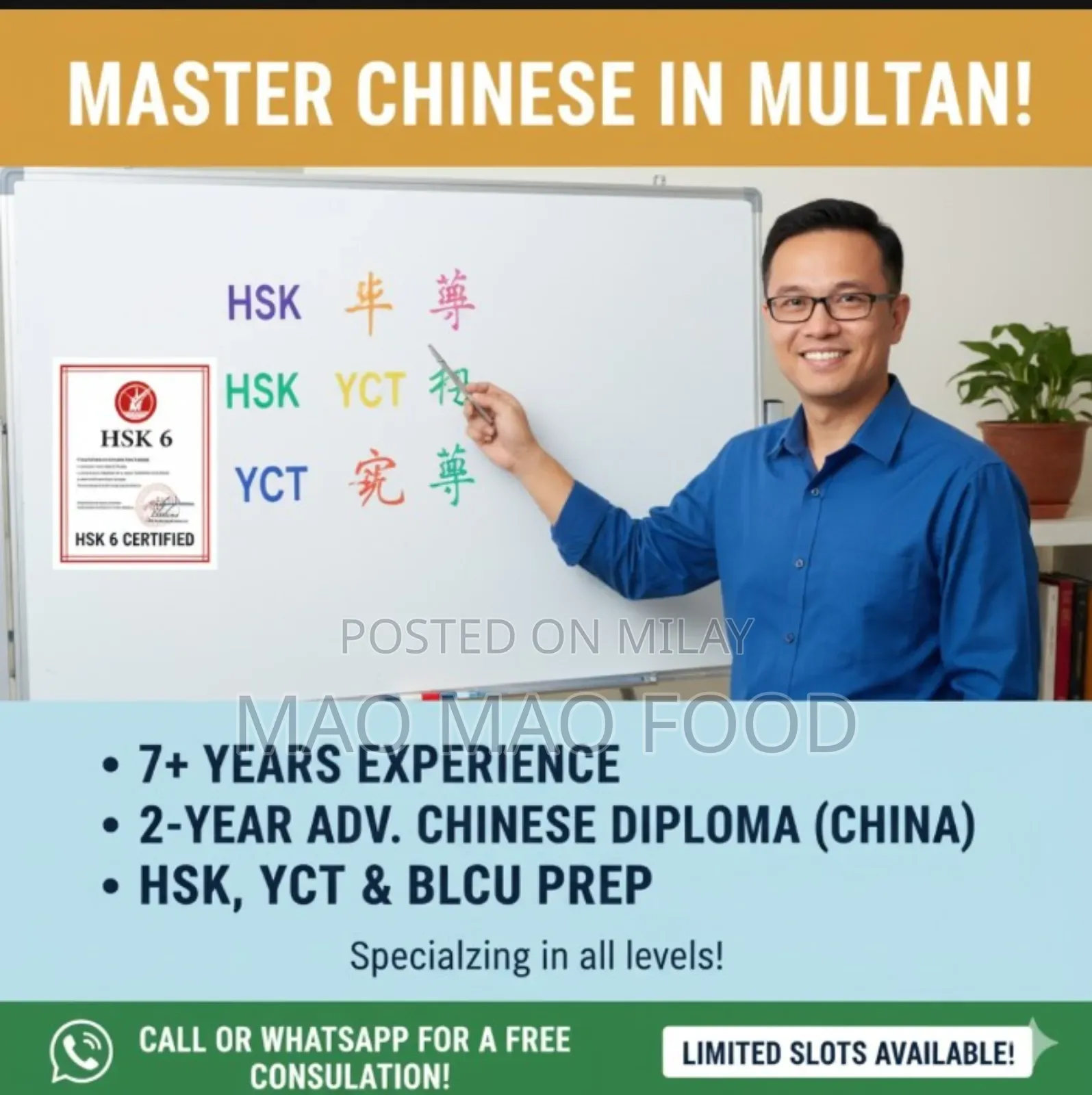 Expert Chinese Language Home Tuition – All Hsk, Yct Blcu Levels