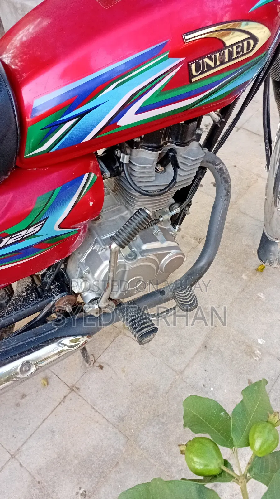 Lifan 125cc 2024 Red