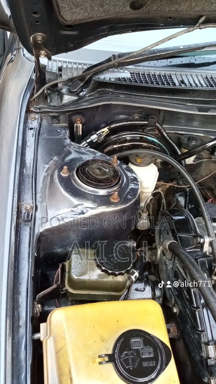 Toyota Corolla Sedan 1999 Gray