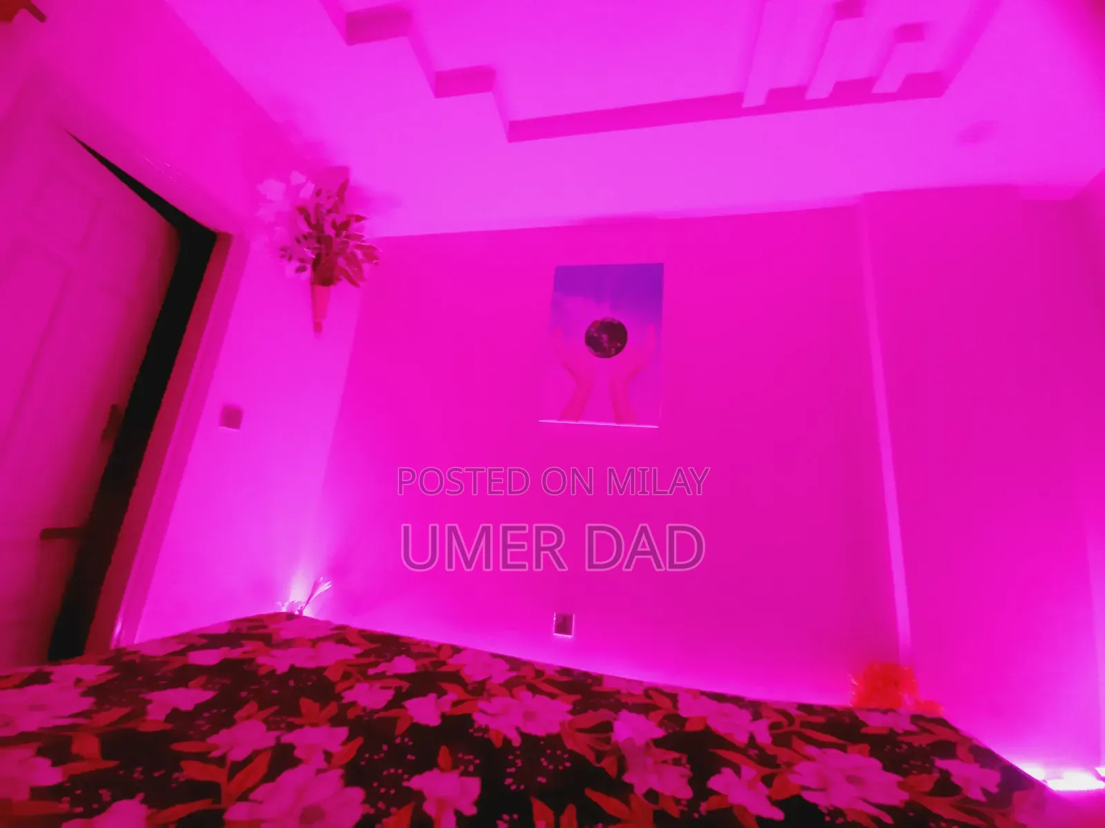 Furnished 2bdrm Apartment in Al.Mustafa Tower, E-11 for rent