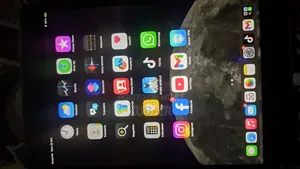 Apple iPad mini 5 64 GB Silver