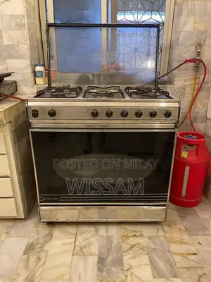 6-Burner Stainless Steel Gas Range with Large Oven