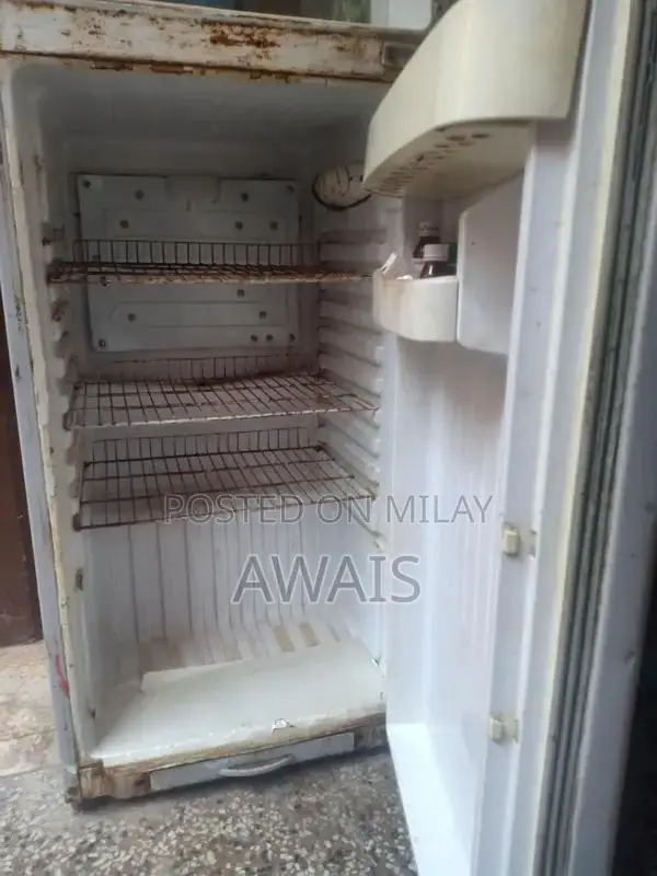 Orient Medium-Size Refrigerator with Large Freezer Compartment