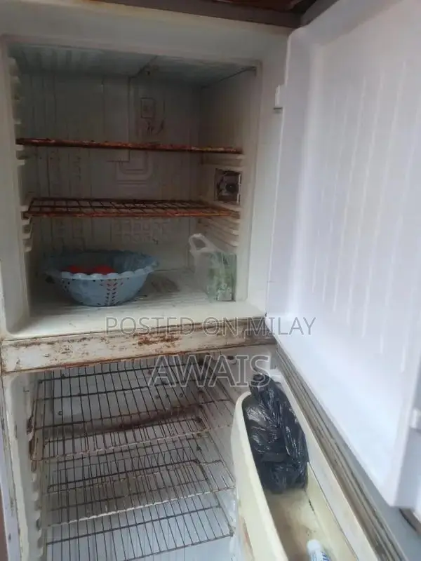 Orient Medium-Size Refrigerator with Large Freezer Compartment