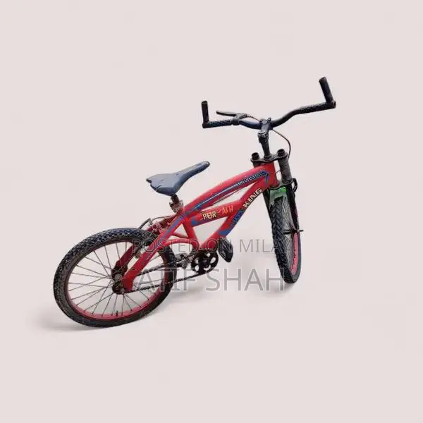 Children's Red and Black Bicycle for Active Kids