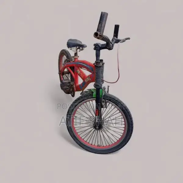Children's Red and Black Bicycle for Active Kids