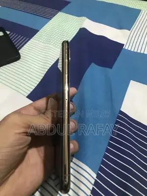 Apple iPhone XS Max Dual SIM Smartphone