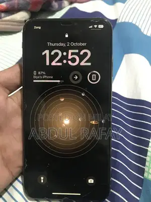 Apple iPhone XS Max Dual SIM Smartphone