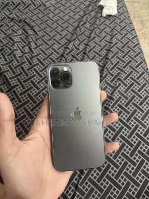 Premium Smartphone 256GB Storage Excellent Condition