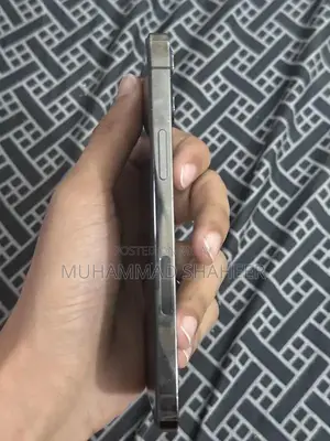 Premium Smartphone 256GB Storage Excellent Condition