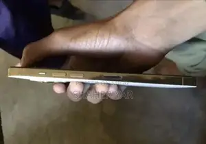 Iphone 12 pro max factory unlock