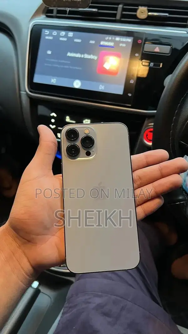 iPhone 13 Pro Max 256 GB FU