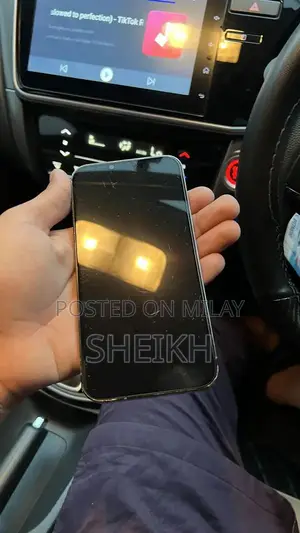 iPhone 13 Pro Max 256 GB FU