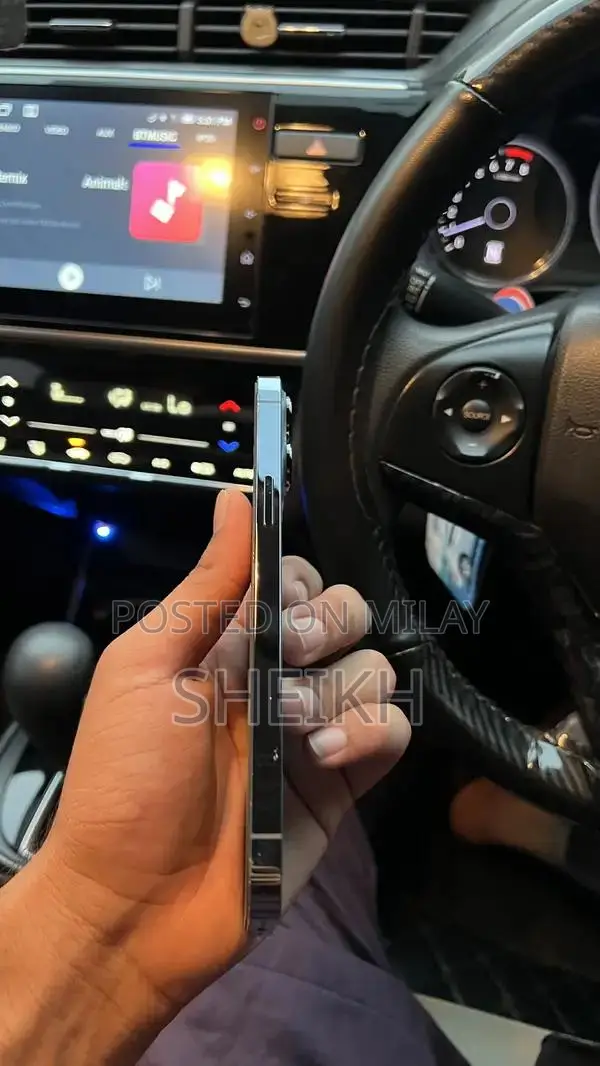 iPhone 13 Pro Max 256 GB FU