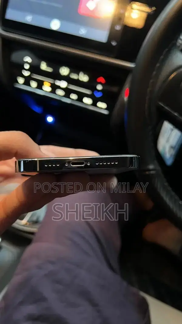 iPhone 13 Pro Max 256 GB FU