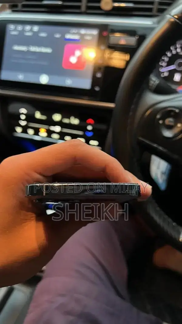 iPhone 13 Pro Max 256 GB FU