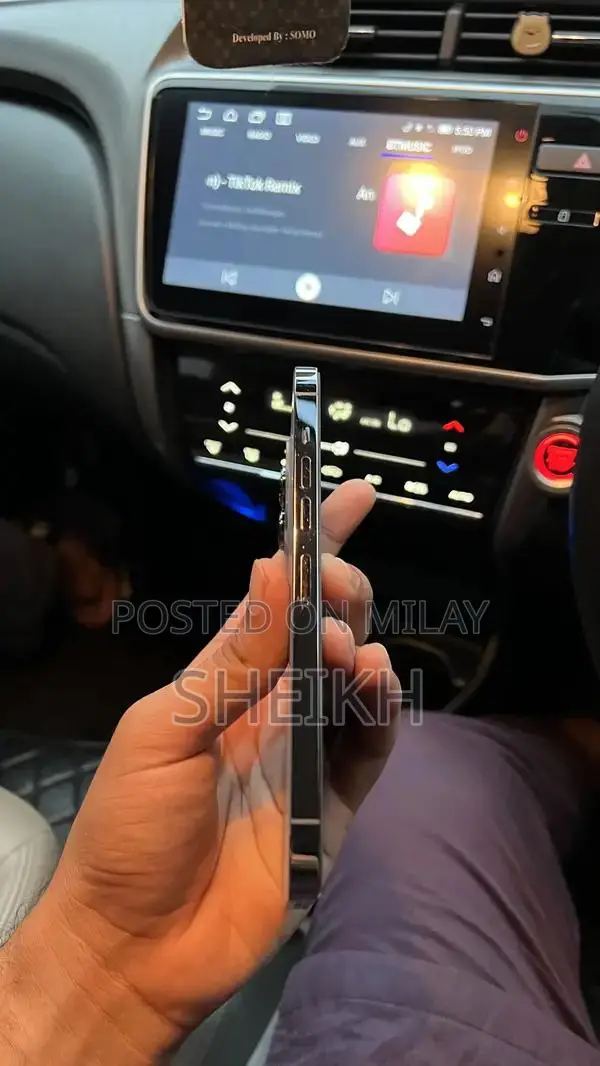 iPhone 13 Pro Max 256 GB FU