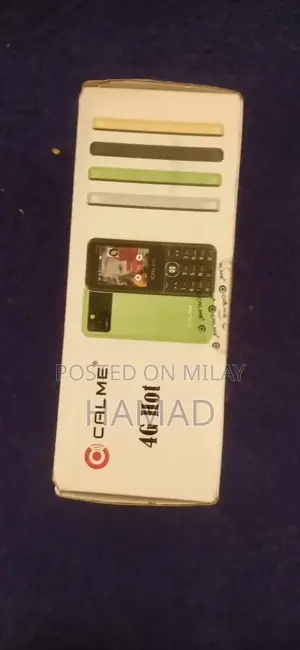 High-Capacity Smartphone with Social Media Compatibility