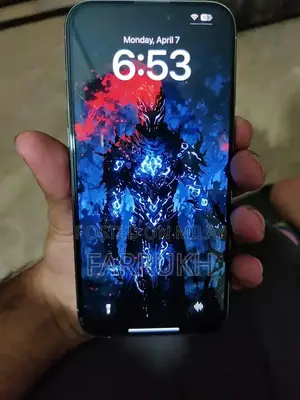 15 pro max natural (jv)