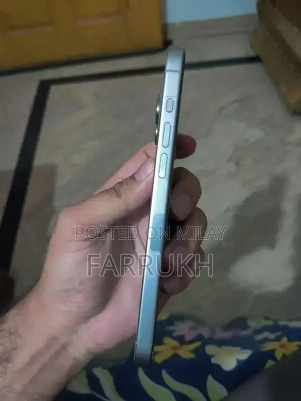 15 pro max natural (jv)