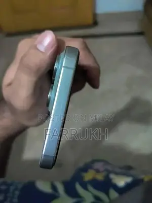 15 pro max natural (jv)