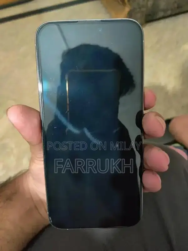 15 pro max natural (jv)