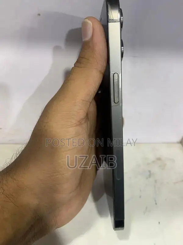 12 PRO MAX 128GB NON PTA