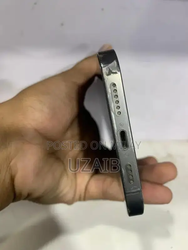 12 PRO MAX 128GB NON PTA