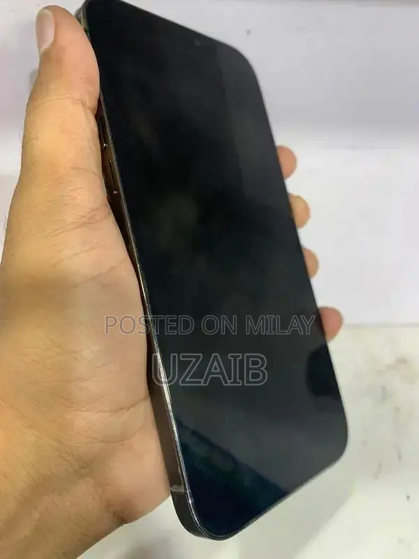 12 PRO MAX 128GB NON PTA