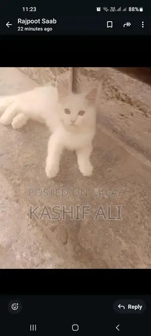 Photo - 5 kids pair, per kids 8000